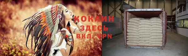трава Наволоки